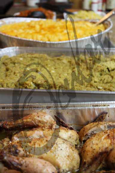 PortfolioPhotoMiscOrphan