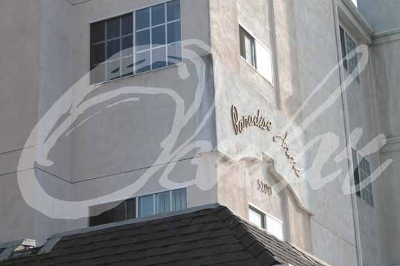 PortfolioPhotoCRCDEntParadiseArms1