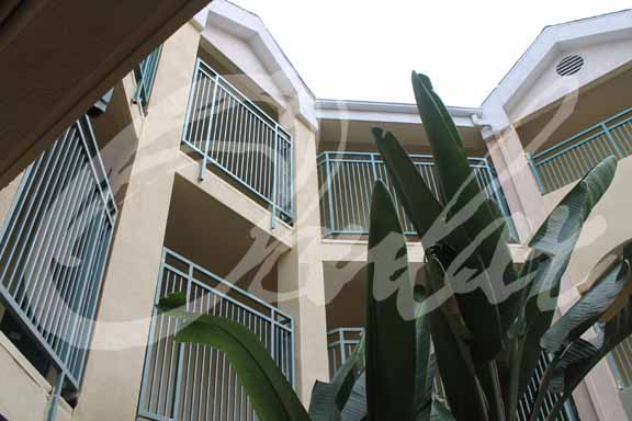 PortfolioPhotoCRCDEntParadiseArms2nd